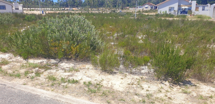  Bedroom Property for Sale in Albertinia Western Cape